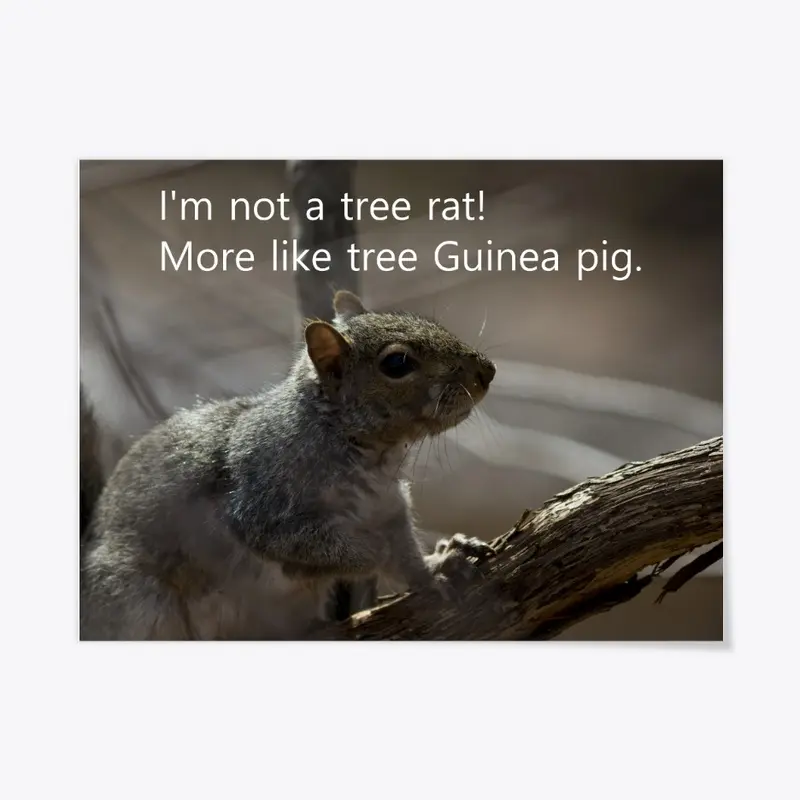 Tree Rat