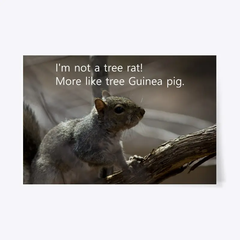 Tree Rat